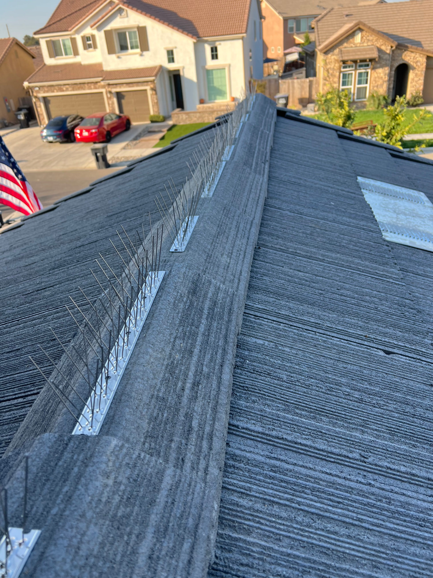 Row of bird spikes installed down a roof ridge line