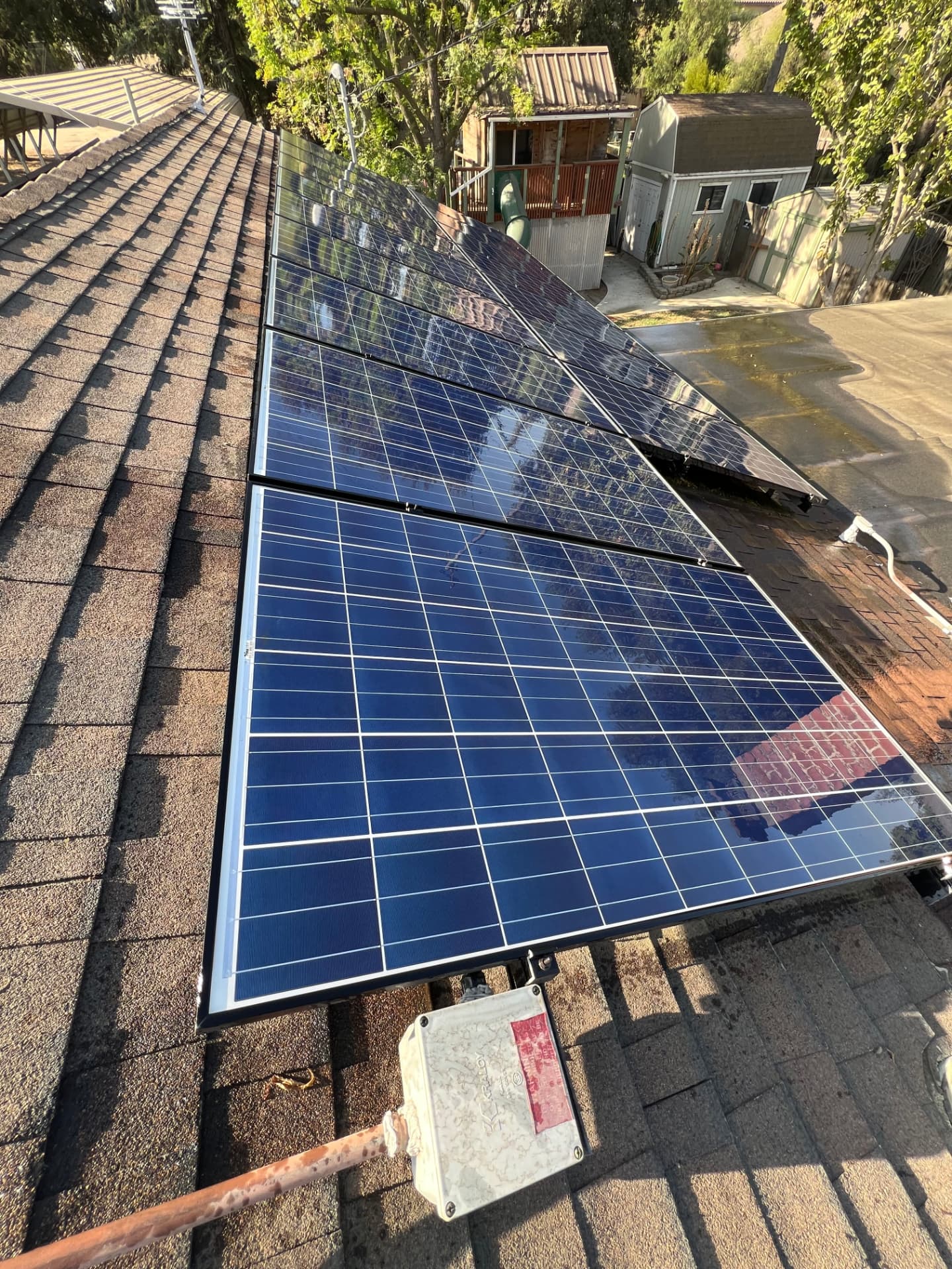 Freshly cleaned solar panels gleaming on a shingle roof after a professional wash