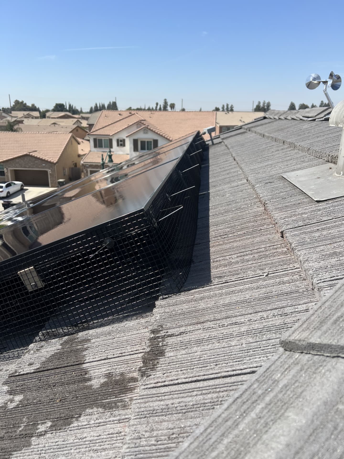Bird guard mesh and spikes combined along the edge of a rooftop solar panel