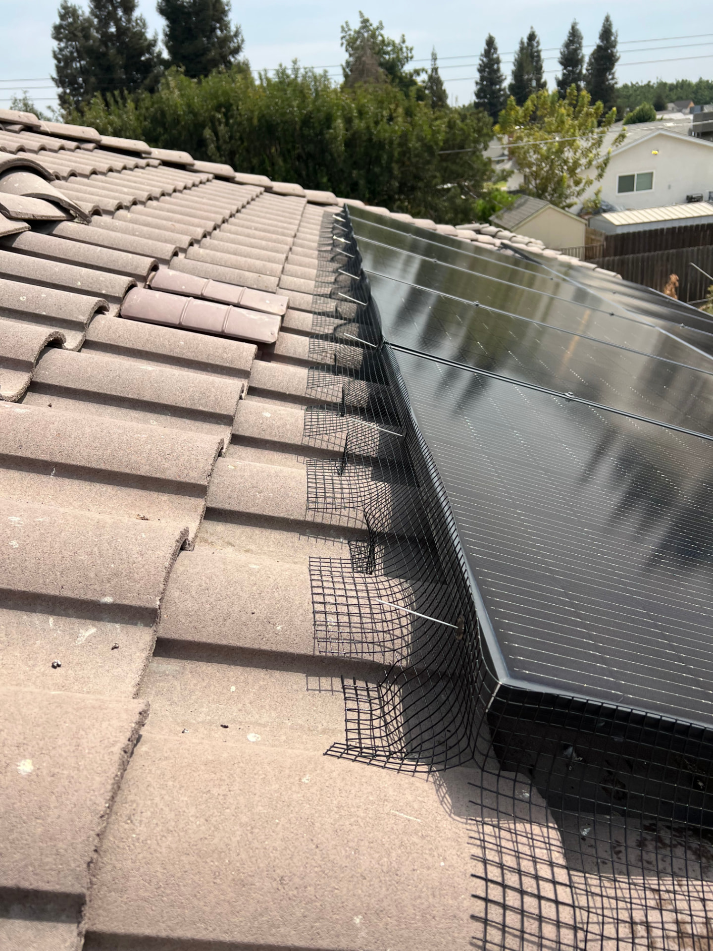 Bird guard mesh secured along the tile roof edge beside solar panels