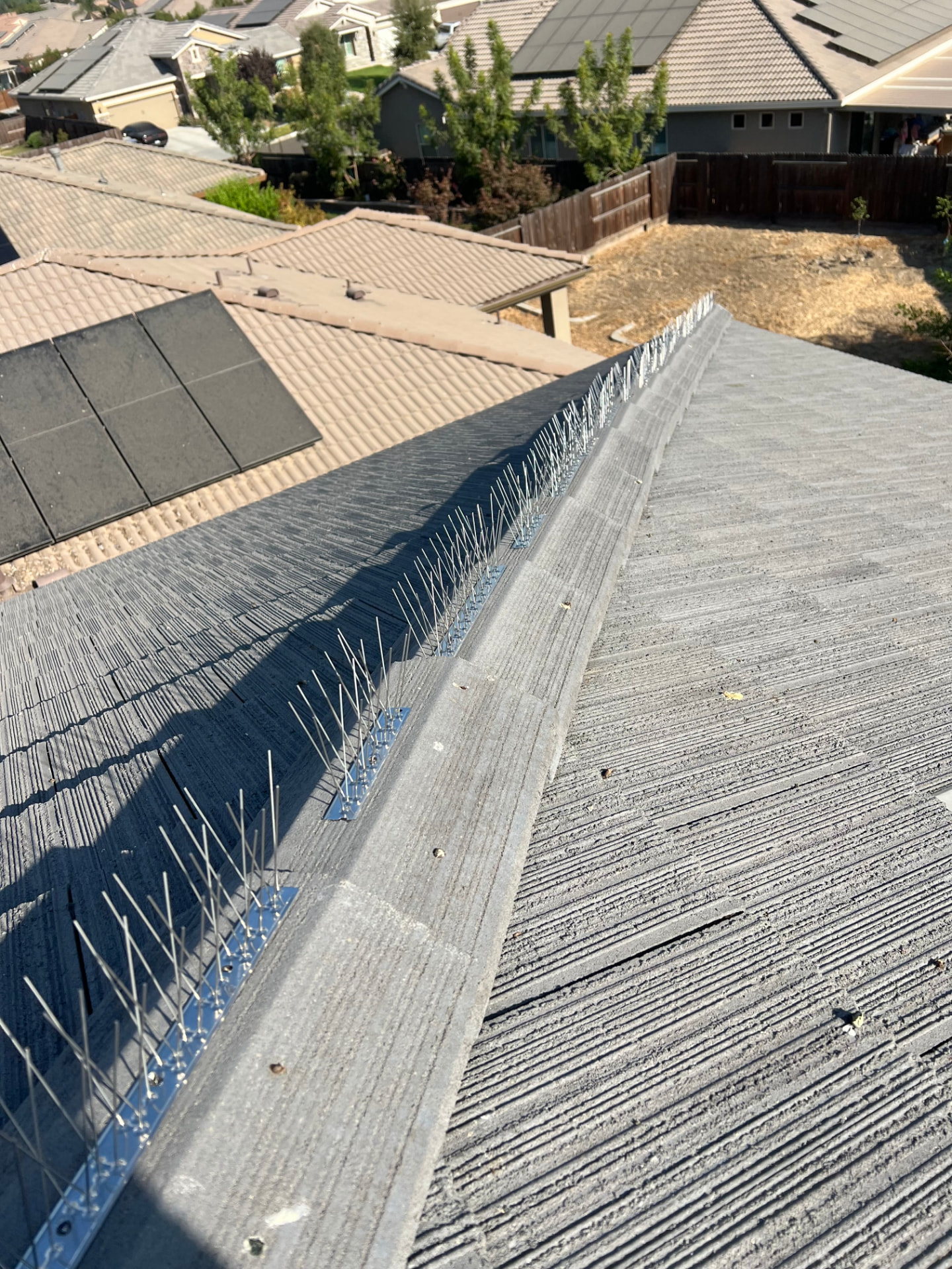 Bird spikes running the full length of a roof ridge