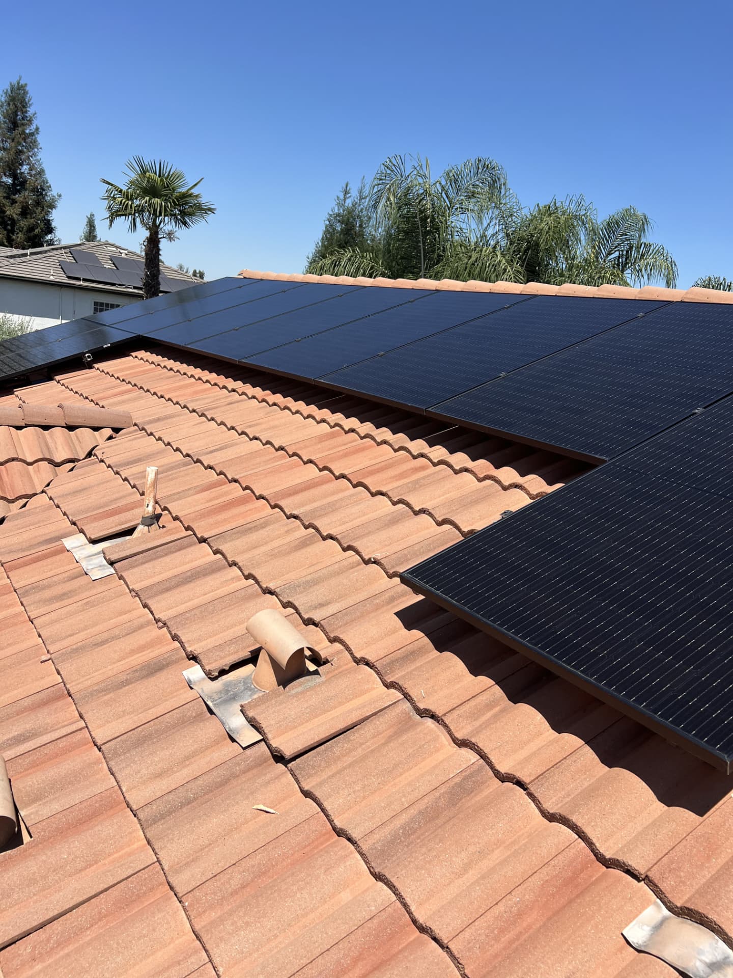 Black solar panels cleaned on a bright red tile roof under palm trees