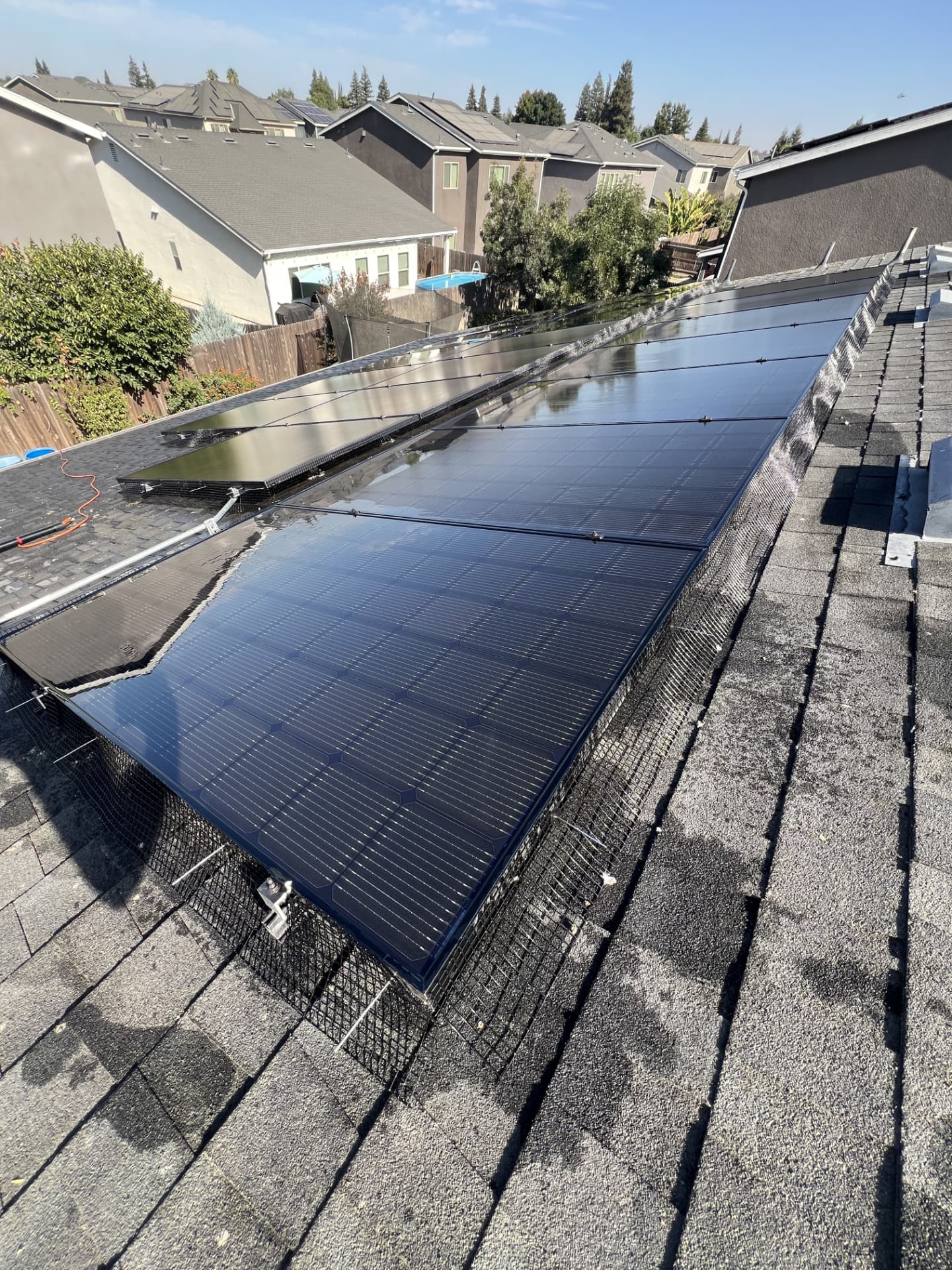 Long solar array wrapped in bird guard mesh after a full wash on a shingle roof