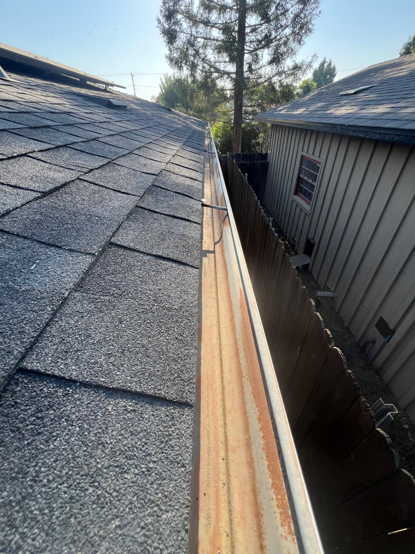 Freshly cleaned rain gutter running along a shingle roof edge