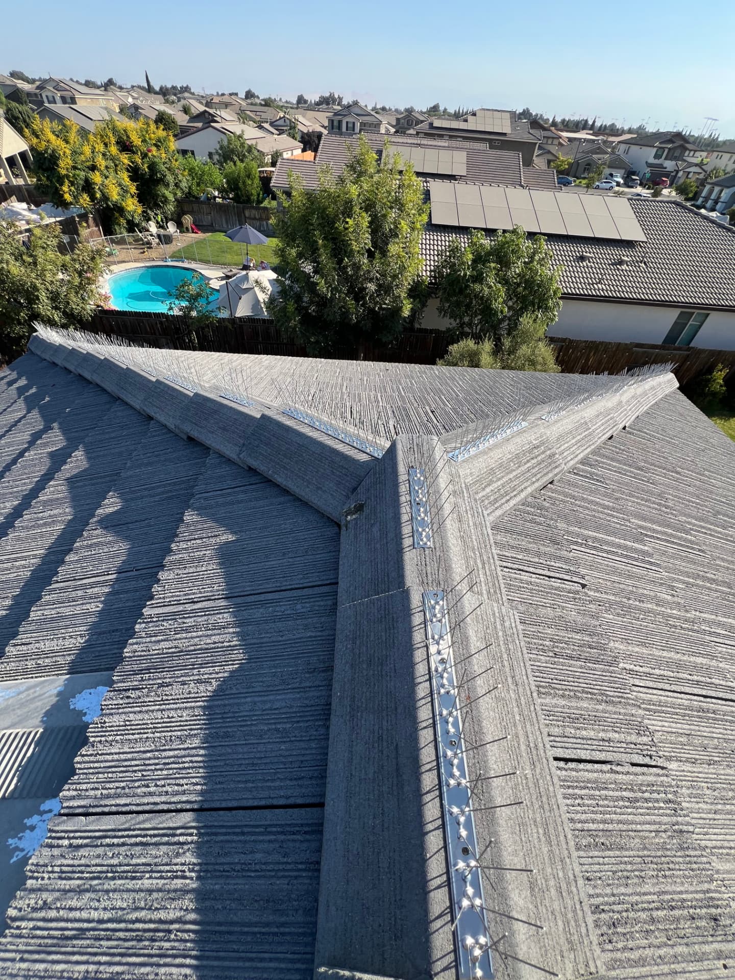 Stainless bird spikes installed along roof ridges and hips