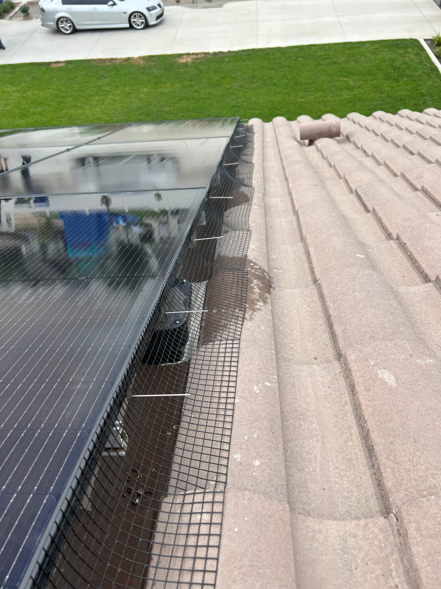 Close-up of bird guard mesh clipped along the edge of a solar panel