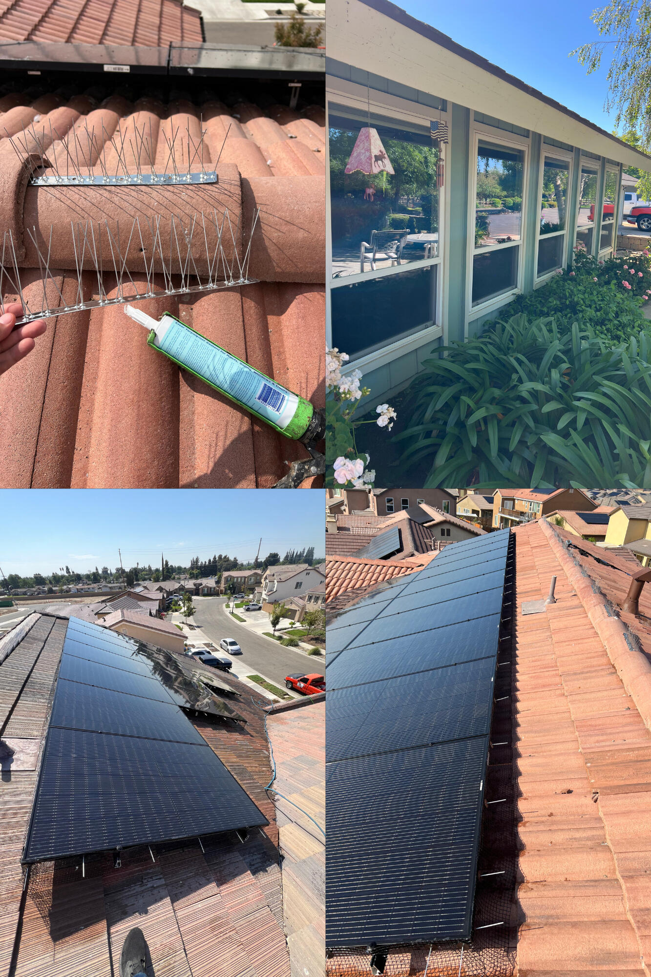 Solar Shine Pros job photo 2